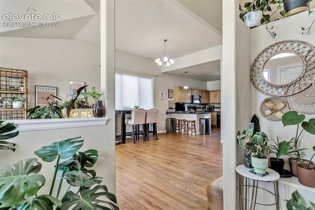 6266 Dancing Star Way, Colorado Springs, CO 80911 — photo 2