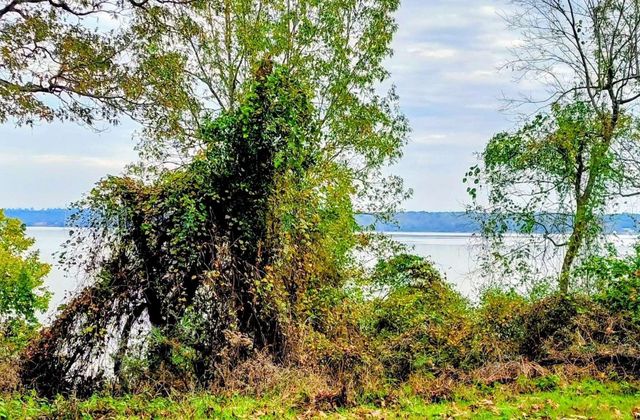 0 Bay Hill Road, Huntsville, TX 77320