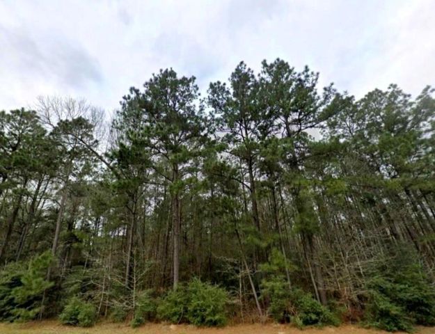 118 Summit Drive, New Waverly, TX 77340