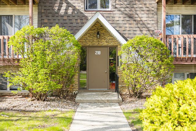 218 Madison Street 3D, Joliet, IL 60435