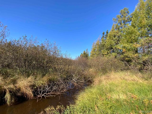 TBD Co Rd Ccf Road, Ishpeming, MI 49849