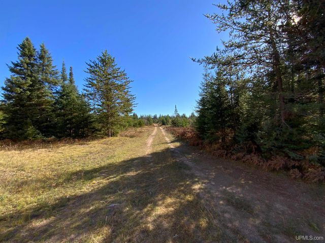 TBD Co Rd Ccf Road, Ishpeming, MI 49849