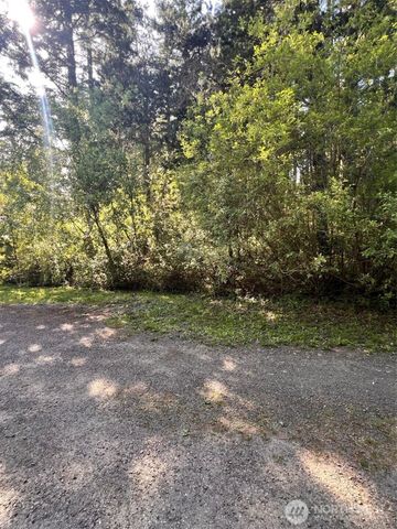 61 NE Fern Court, Tahuya, WA 98588