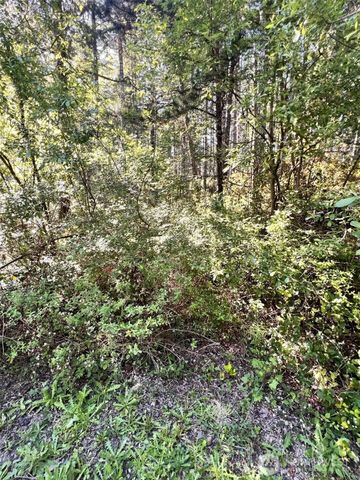 61 NE Fern Court, Tahuya, WA 98588