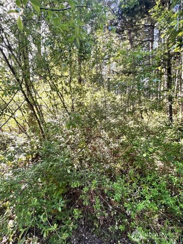 61 NE Fern Court, Tahuya, WA 98588