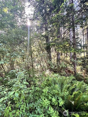 61 NE Fern Court, Tahuya, WA 98588