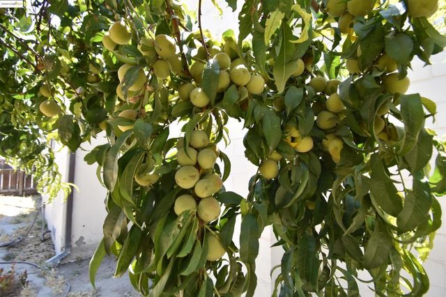 5100 Kiernan Ave, Salida, CA 95368