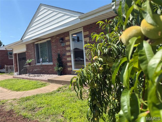 4828 Reavis Barracks Road, Unincorporated, MO 63123