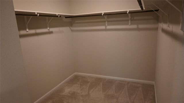 127 Winged Elm Court, Willis, TX 77318