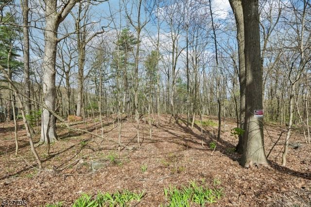 11 Alamoosook Rd, Vernon Twp., NJ 07422