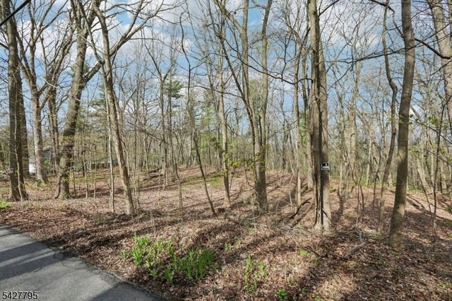 11 Alamoosook Rd, Vernon Twp., NJ 07422