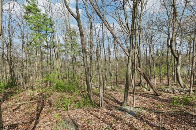 11 Alamoosook Rd, Vernon Twp., NJ 07422