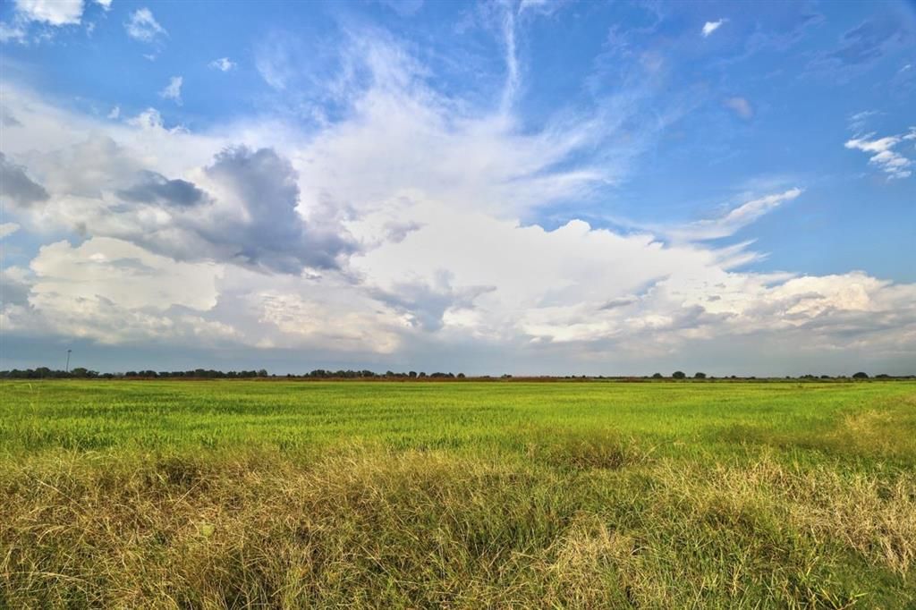 TBD Ward Line Road, Lake Charles, LA 70607