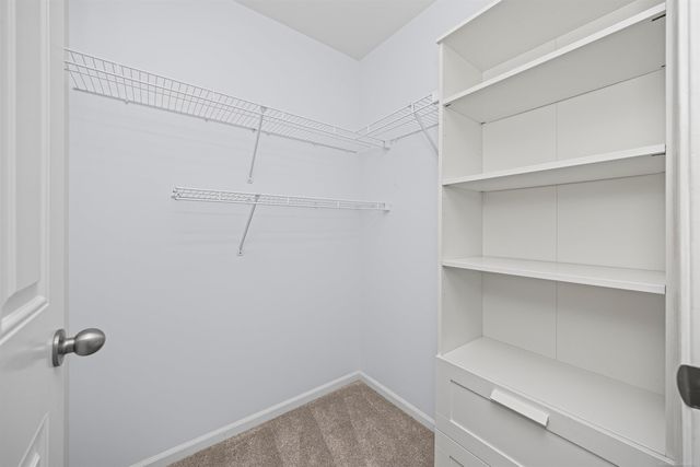 49143 W WOODS Drive, Shelby Twp, MI 48317