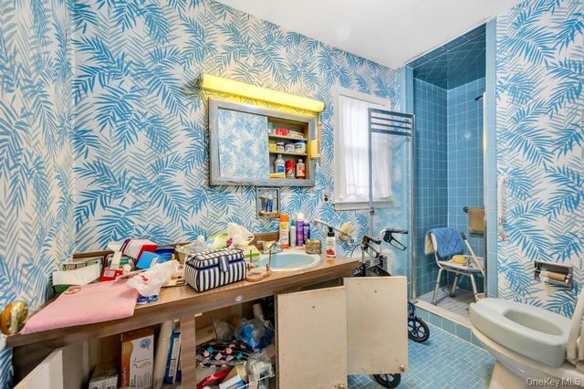 441 Roslyn Road, East Williston, NY 11596