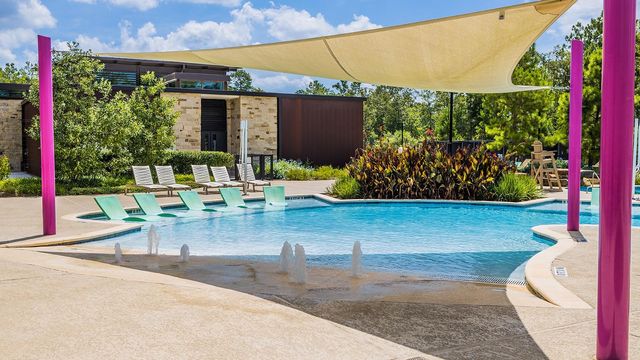119 Bluebell Woods Way, Willis, TX 77318