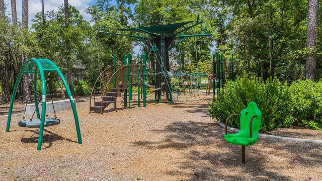 119 Bluebell Woods Way, Willis, TX 77318