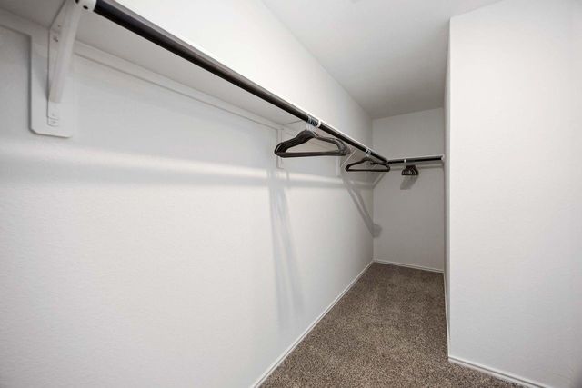 11920 Mulberry Vine Lane, Houston, TX 77048