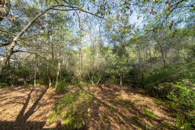 217 Melrose Avenue, Santa Rosa Beach, FL 32459