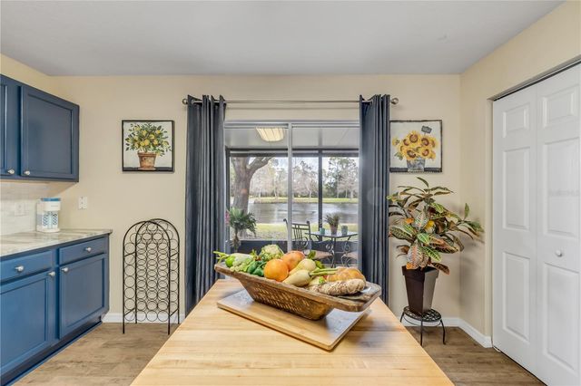 517 AEOLIAN DRIVE, New Smyrna Beach, FL 32168