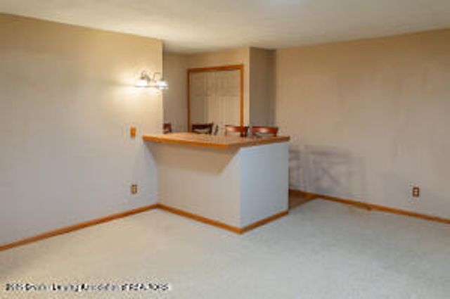 10600 S Airport Road, Dewitt, MI 48820