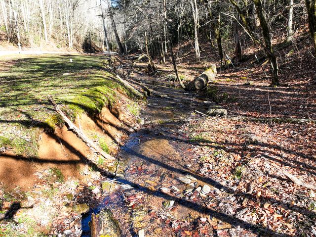 4876 Pearl Valley Road, Sevierville, TN 37876