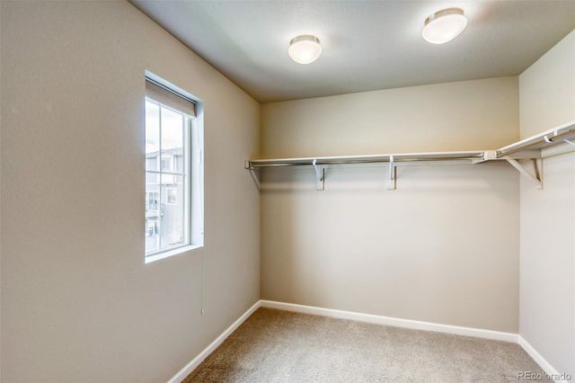 3592 Evening Place, Castle Rock, CO 80109