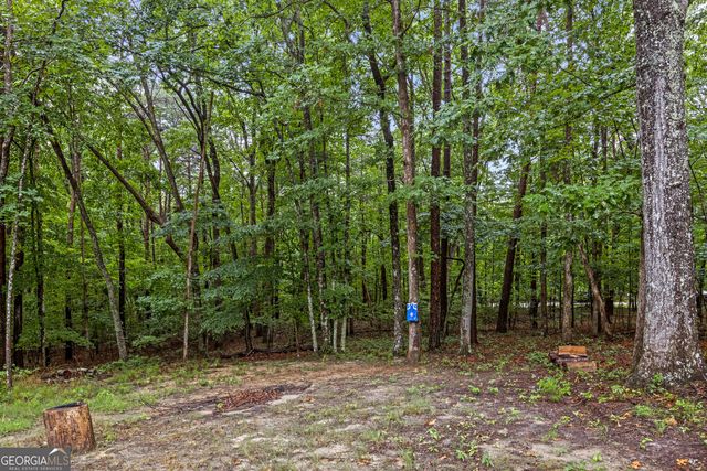 65 Eagle Bluff Road, Menlo, GA 30731