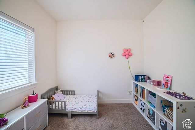 171 N 480 E, Vineyard, UT 84059