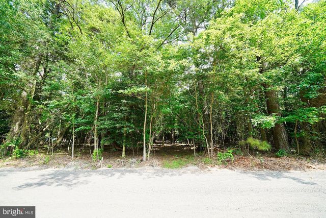 LOT 4 MOUNT JOY RD, Millsboro, DE 19966