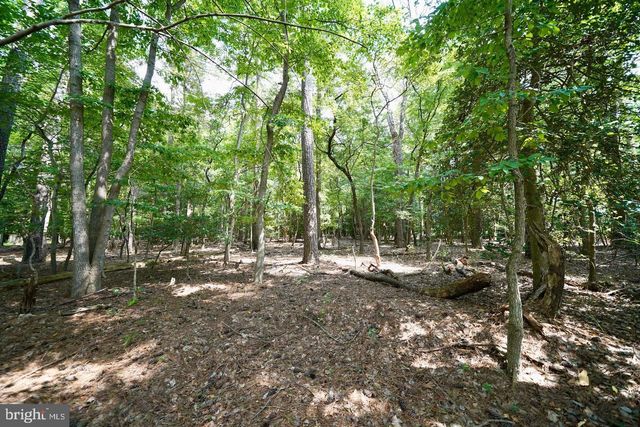 LOT 4 MOUNT JOY RD, Millsboro, DE 19966