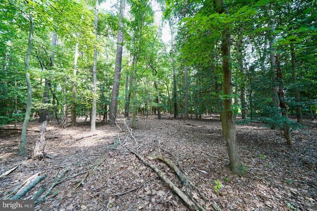 LOT 4 MOUNT JOY RD, Millsboro, DE 19966