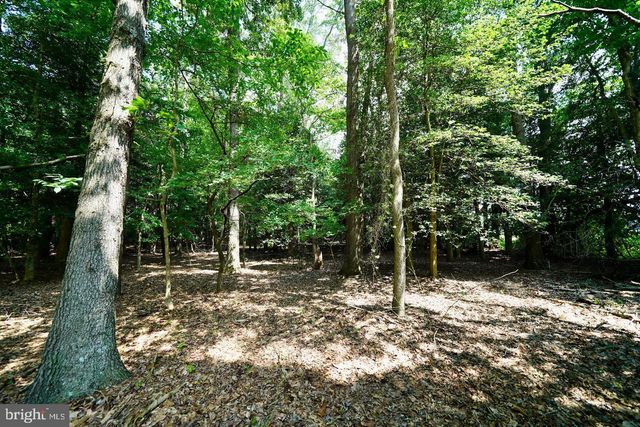LOT 4 MOUNT JOY RD, Millsboro, DE 19966