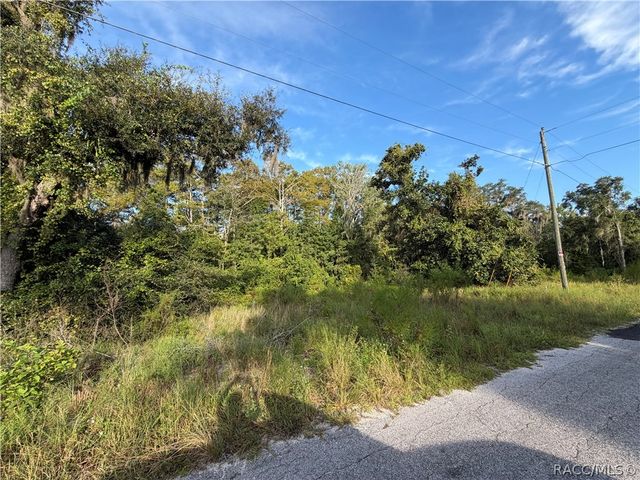 7040 E Gunn Court, Inverness, FL 34450