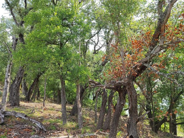 tbd Long View Drive, Brownwood, TX 76801