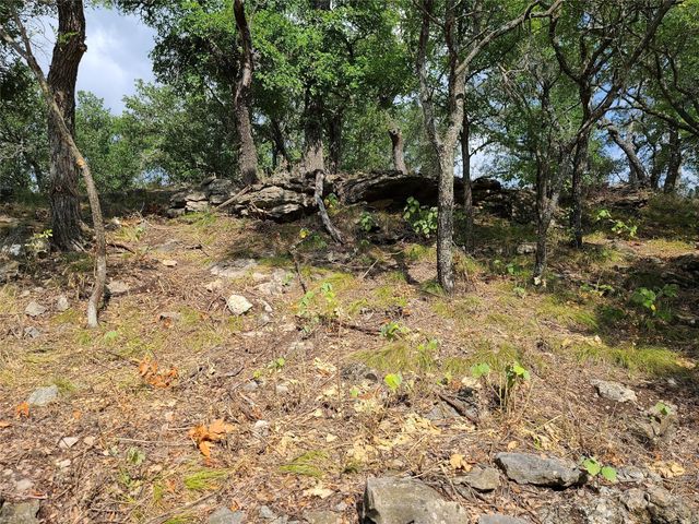 tbd Long View Drive, Brownwood, TX 76801