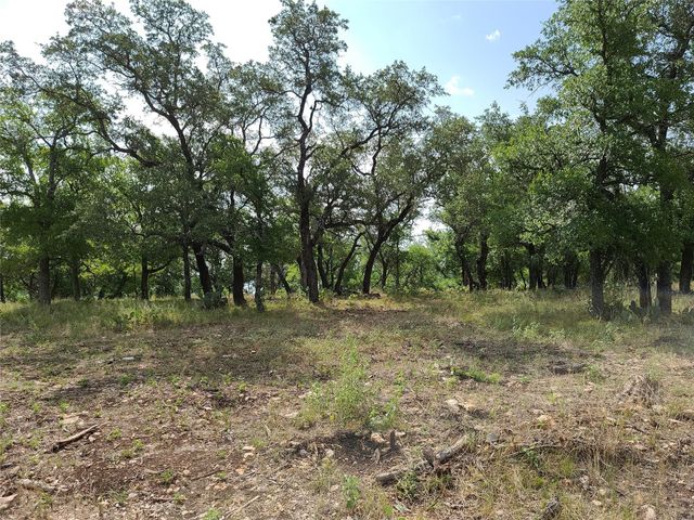 tbd Long View Drive, Brownwood, TX 76801