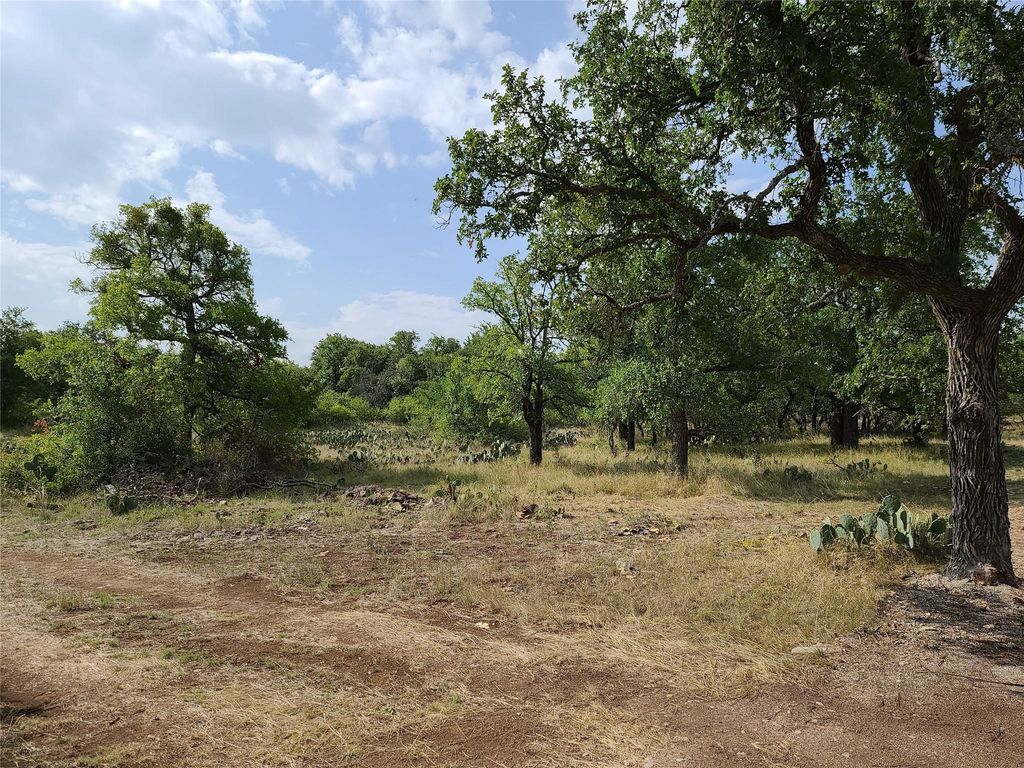 tbd Long View Drive, Brownwood, TX 76801