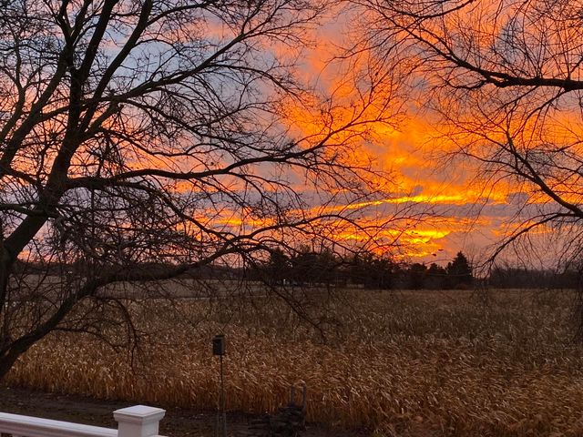 1309 Pierce Lane, Milan, MI 48160