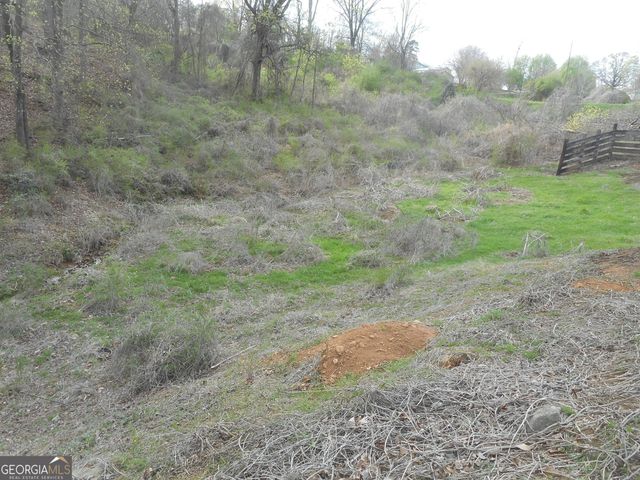 530 Grandview Avenue, Mount Airy, GA 30563