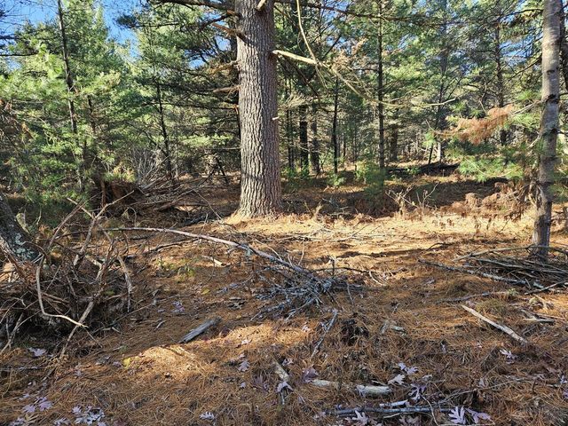 Parcel O Tatanka Trail, Baldwin, MI 49304
