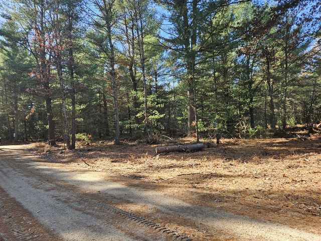 Parcel O Tatanka Trail, Baldwin, MI 49304