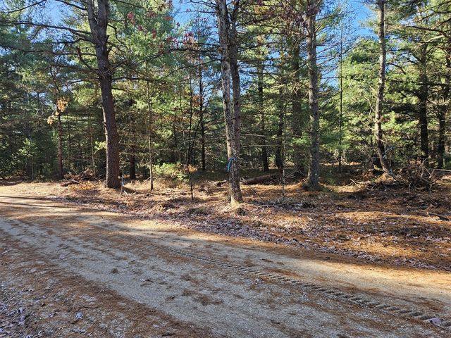 Parcel O Tatanka Trail, Baldwin, MI 49304