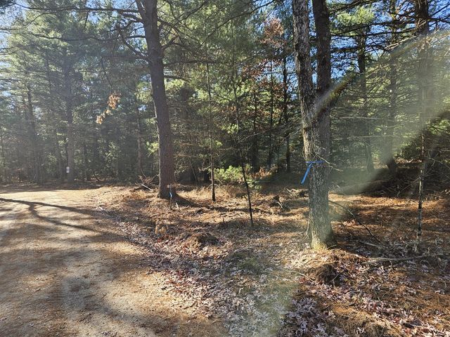 Parcel O Tatanka Trail, Baldwin, MI 49304