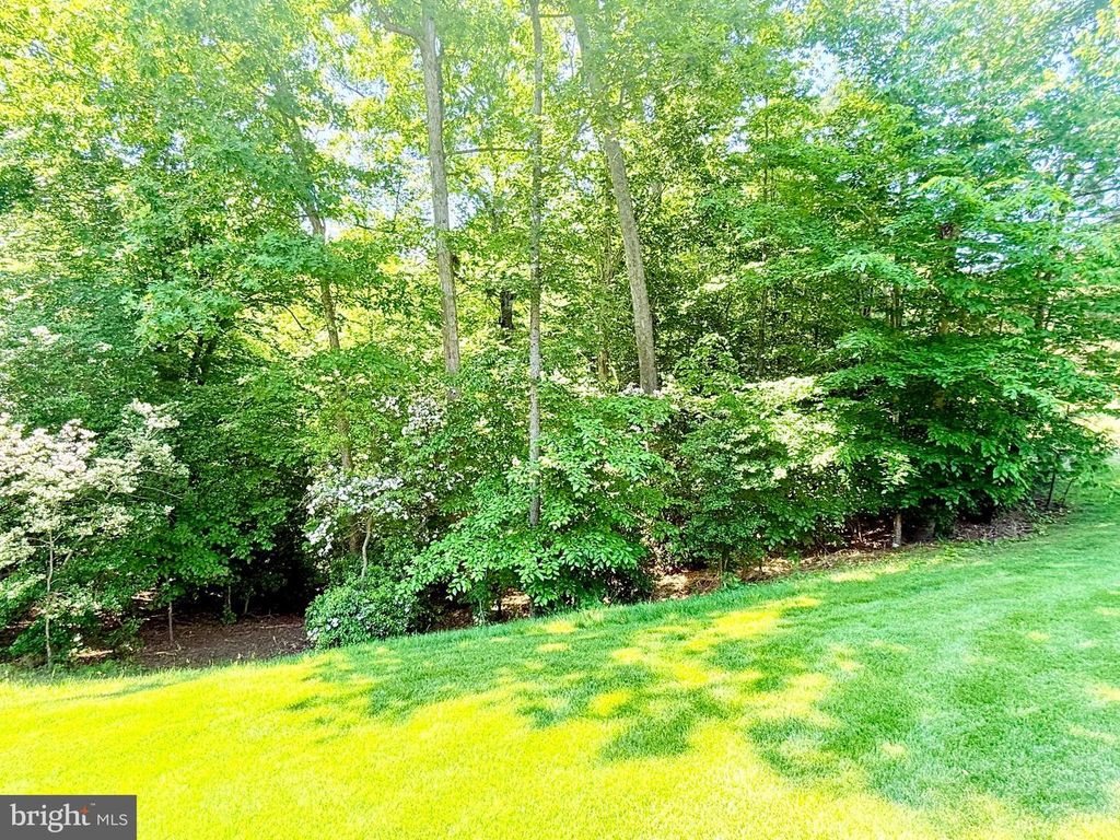 Image 37 of property listing at 42102 WOODY LN, Mechanicsville, MD 20659