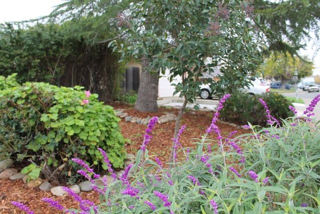 10433 Rockingham Dr, Rancho Cordova, CA 95670