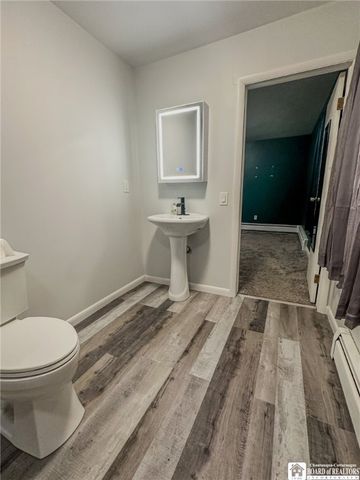 1371 Four Mile Road, Allegany, NY 14706