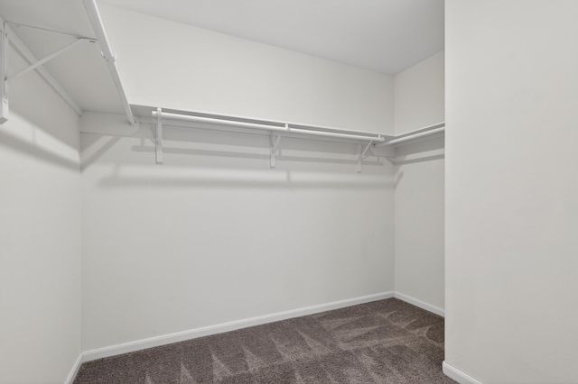 3322 Nila Creek Drive, Spring, TX 77373