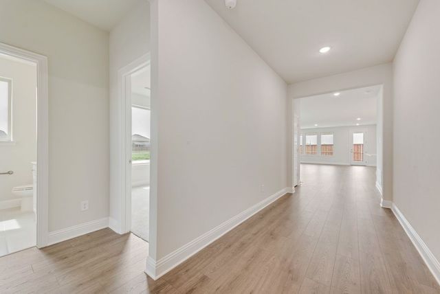 4124 Blackbird Avenue, Little Elm, TX 75068