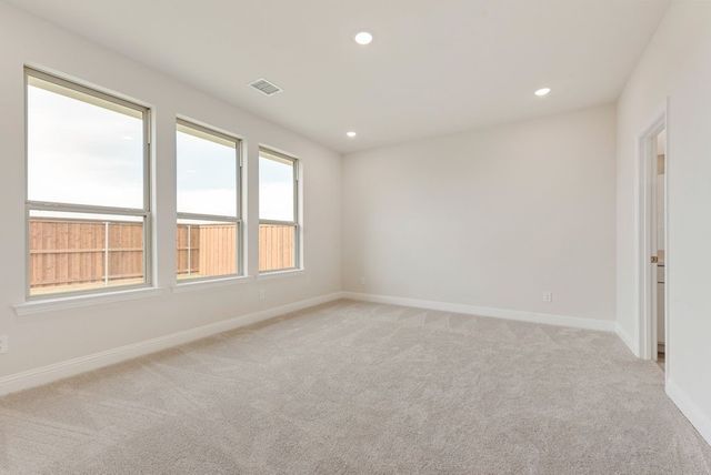 4124 Blackbird Avenue, Little Elm, TX 75068